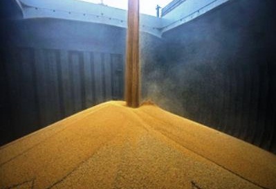 اختصاص ارز مرجع به واردات نهاده‌ها ی طیوراز فردا