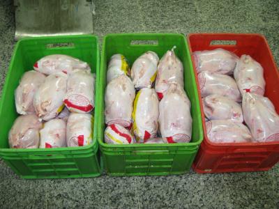 توزيع 911 تن مرغ منجمد در استان زنجان