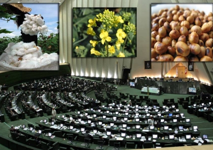 طرح افزایش تولید دانه‌های روغنی در مجلس