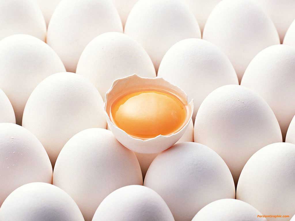 کشف 350 کیلوگرم تخم مرغ فاسد در قم