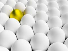 تامین عمده پروتئین بدن از طریق تخم ‌مرغ صورت می‌گیرد