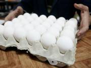 سرانه مصرف تخم مرغ در استان بالاتر از میانگین کشوری