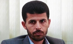 بی‌تاثیری دلال بازی در قیمت مرغ / قیمت نهاده‌ها دلیل اصلی افزایش قیمت مرغ است