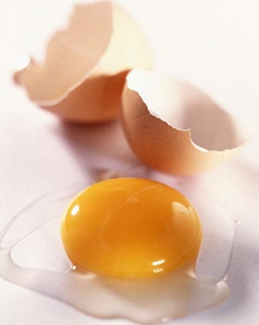تخم مرغ سلاحي مقاوم در برابر سرطان