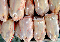 بررسی قیمت گوشت مرغ در ستاد تنظیم بازار