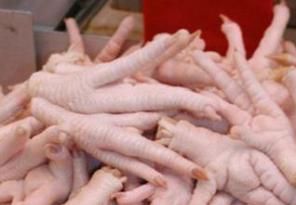 405 تن پای مرغ از زنجان به ویتنام صادر شد