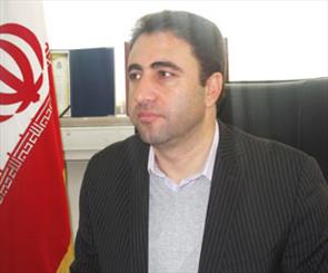 هزار تن مرغ منجمد در زنجان توزیع شده است