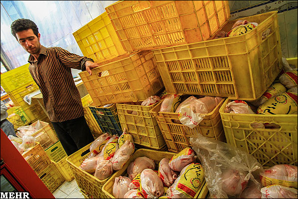 نیاز گوشت مرغ در ایام عید با 90 هزار تن ذخیره سازی تامین می شود/ اولویت اتحادیه تشکیل زنجیره تولید است