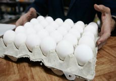 حل مشکل کمبود تخم مرغ در استان گیلان تا دو روز آینده