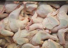 ذخیره‎سازی دو هزار تن گوشت مرغ در استان لرستان