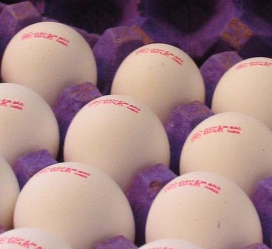 عرضه تخم مرغ بدون تاریخ مصرف ممنوع است