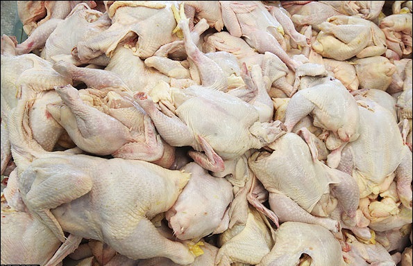 کشف و ضبط گوشت مرغ تاریخ گذشته و فاسد در سمنان و گرمسار