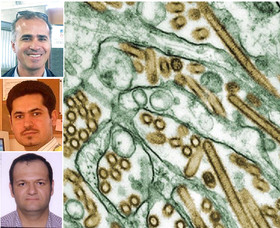 ریشه‌کنی آنفلوآنزای‌مرغی به‌دست دانشمندان ایرانی