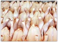 صادرات گوشت مرغ از گلستان امسال دو برابر شد