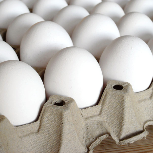 اصفهان رتبه سوم تولید تخم‌مرغ در کشور را داراست