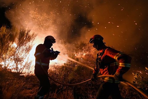 مبارزه با آتش سوزی جنگل های «پرتغال» (EPA)