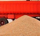 کشف و معدوم‌سازی چهار و نیم تن مکمل و کنستانتره دامی غیرمجاز در شهرستان لنجان