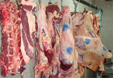 سالانه بیش از ۶۰ هزار تن گوشت قرمز در اصفهان تولید می‌شود