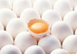 صادرات تخم‌مرغ مدیریت شده نه متوقف