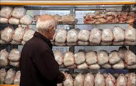 ویژگی های یک مرغ سالم هنگام خرید