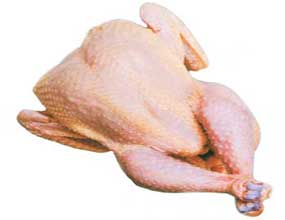 رشد ۱۶ درصدی صادرات آلایش خوراکی مرغ از اصفهان