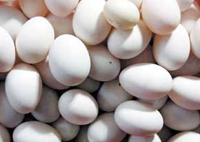یک هزار کیلوگرم تخم مرغ فاسد در آستارا کشف شد