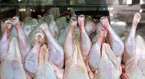 قیمت مرغ در همدان کاهش می‌یابد