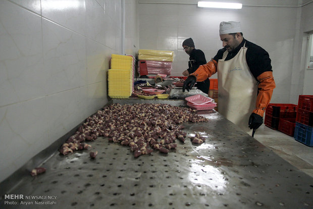 کشف و توقیف ۲۱۰ کیلوگرم مرغ قطعه بندی غیر مجاز در قزوین