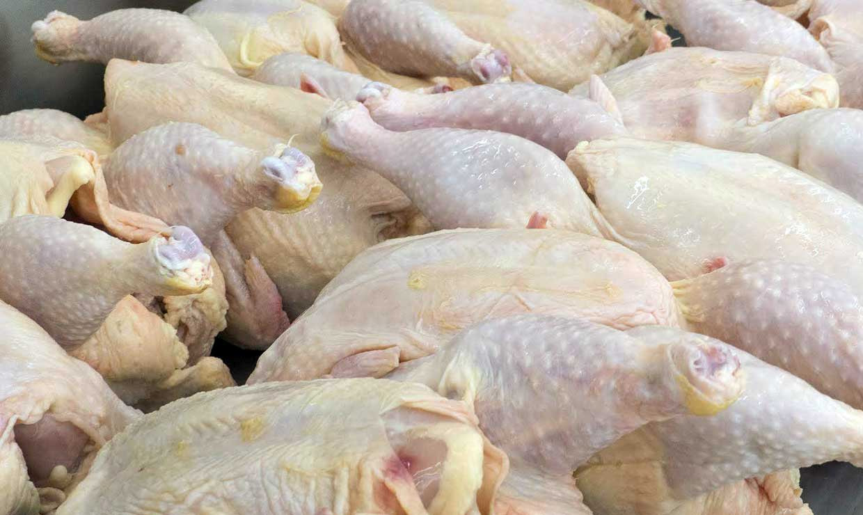 70 درصد تولید گوشت مرغ مازاد نیاز خراسان‌جنوبی است