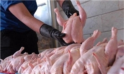 کاهش قیمت مرغ به مرز ۶ هزار تومان/ اثر کمرنگ ناظران دولتی بر روی تنظیم بازار