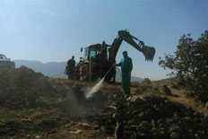 روستای «شنقال خالدی» از دام‌های تلف شده در زلزله پاکسازی شد