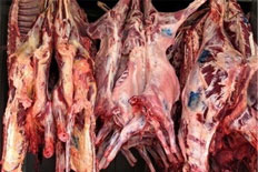 فروش گوشت منجمد در مراکز عرضه گوشت گرم زرند ممنوع شد