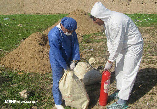 شیوع آنفلوآنزای فوق حاد پرندگان ۲ ماه زودتر در اصفهان آغاز شد