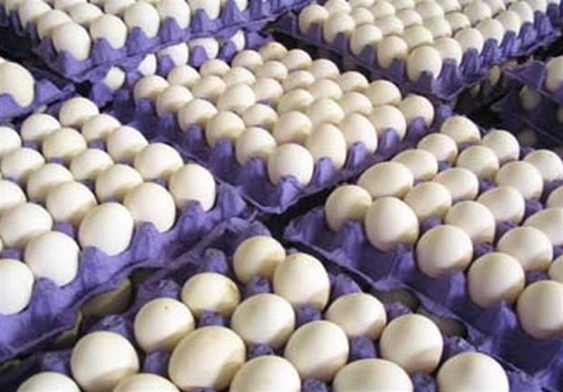 نرخ تخم‌مرغ در اصفهان به قیمت واقعی خود باز می‌گردد