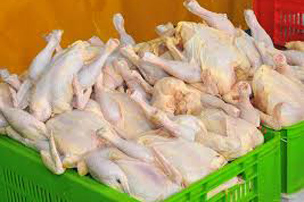 توزیع بیش از ۵۶۳ هزار کیلوگرم گوشت مرغ منجمد در آذربایجان غربی