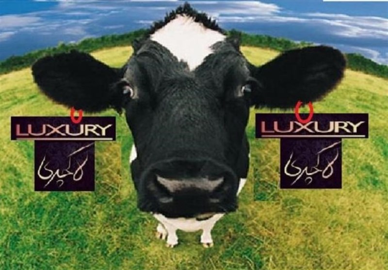 تبلیغات گوشت گوساله لاکچری دروغ بود/ ادعاهای شرکت مذکور تأیید نشد