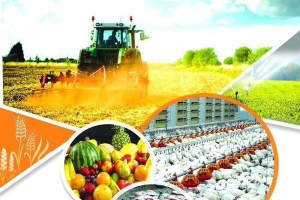 ارزآوری ۴.۵ میلیارد دلاری صادرات محصولات کشاورزی
